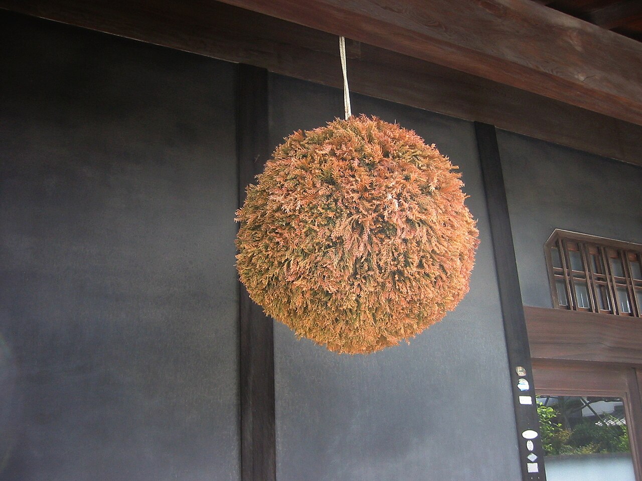 緑と茶色がまだらに混じった杉玉