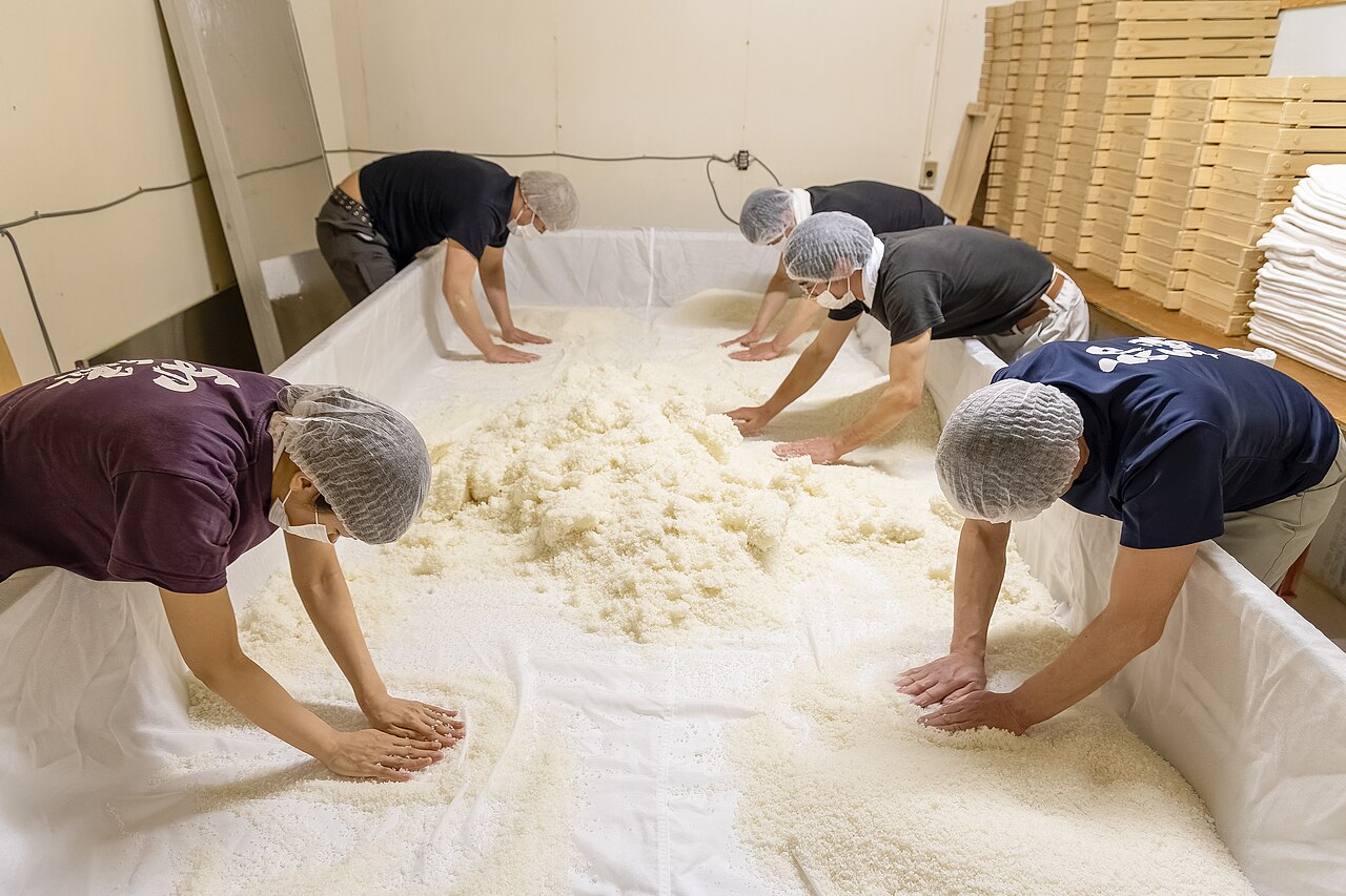 麹造りの作業で、布の上に広げた蒸し米を数人が手でほぐしている様子